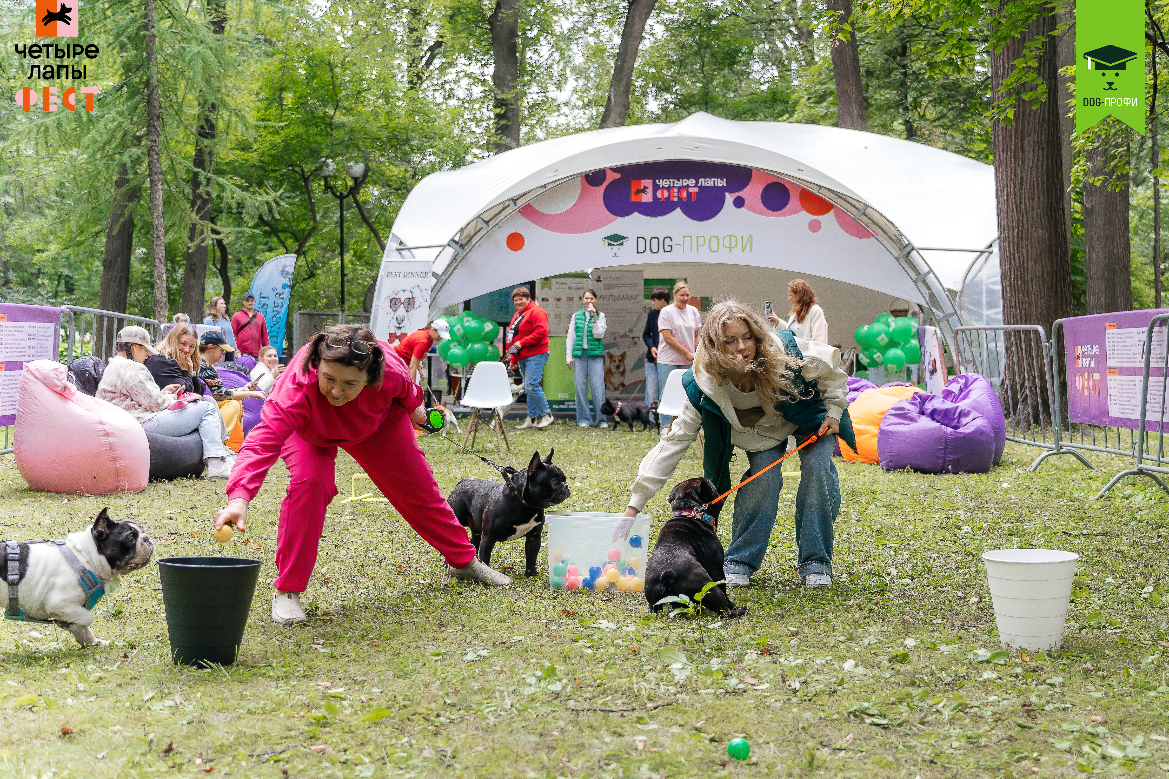 📢Готово расписание первого дня фестиваля пород DOG-ПРОФИ! 🐾