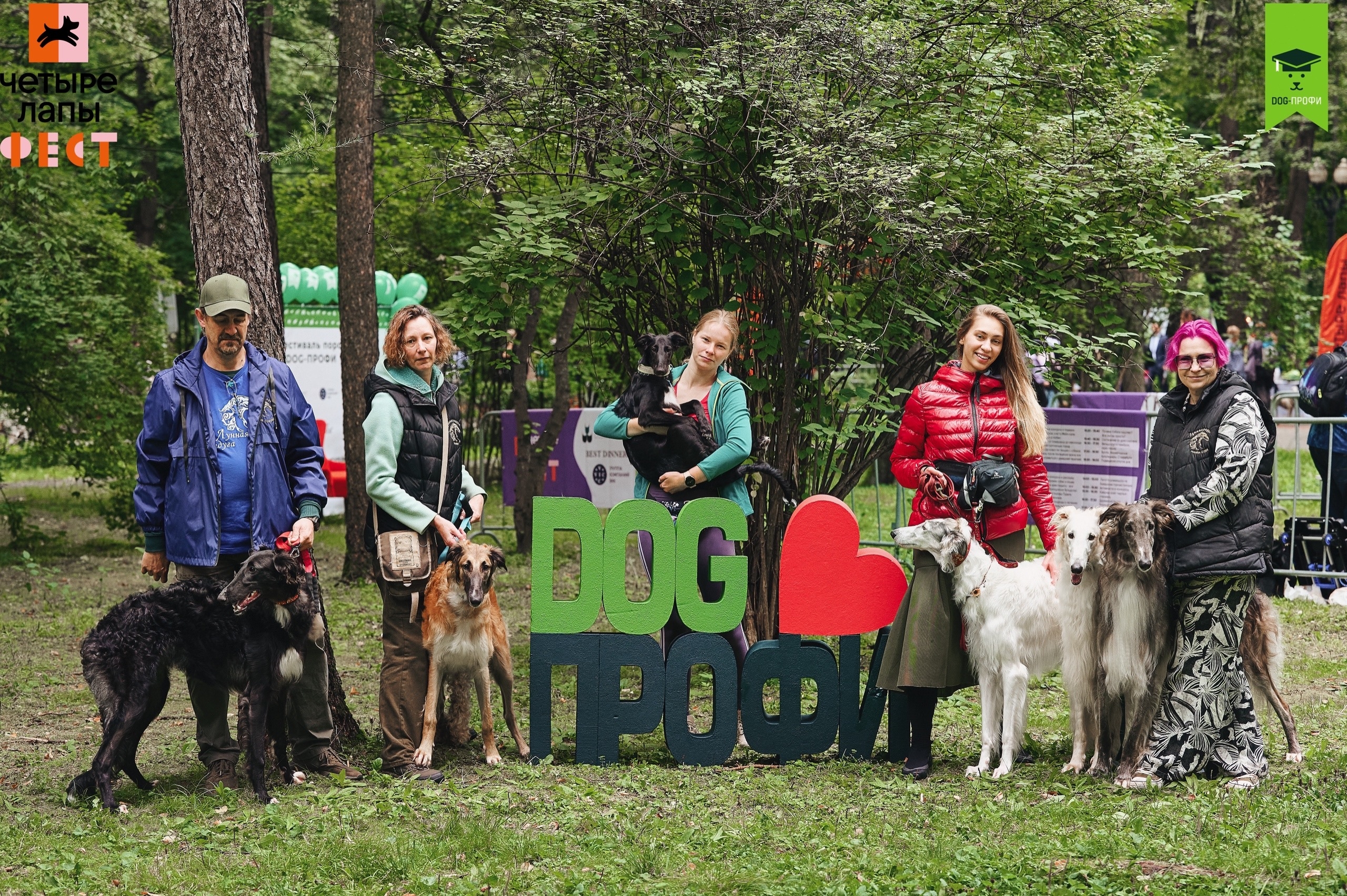 🐾До «Четыре Лапы Фест» в Измайлово осталось 11 дней!🐾